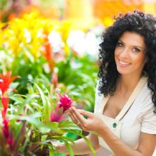 Image for Weslaco Floral with ID of: 2603192