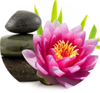 Image for Lotus Blossom Massage with ID of: 2603438