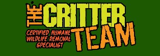 Image for The Critter Team with ID of: 2605148