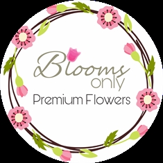 Image for Blooms Only - Online flower delivery with ID of: 2606991
