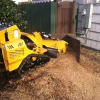 Image for Portland Tree Service with ID of: 2607013