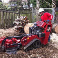 Image for Portland Tree Service with ID of: 2607014