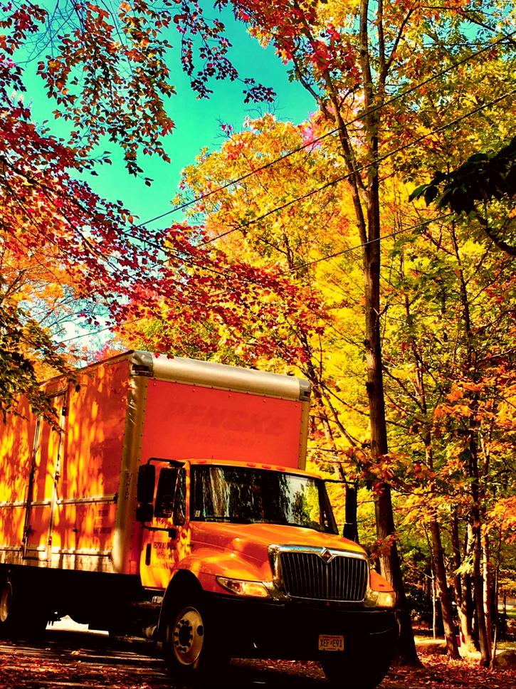 Image for Vector Movers NJ with ID of: 2607736