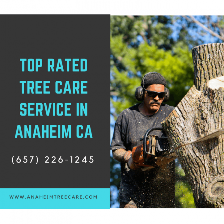Image for Tree Trimming Anaheim CA with ID of: 2607811