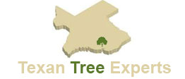 Image for Texan Tree Experts with ID of: 2607946