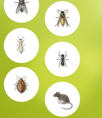 Image for Ampm Exterminators with ID of: 2608110