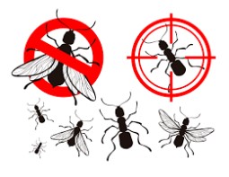 Image for Ampm Exterminators with ID of: 2608437