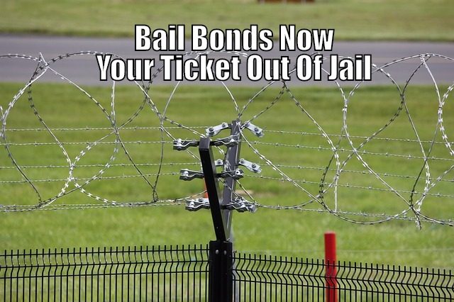 Image for WEST PALM BEACH BAIL BONDS NOW with ID of: 2608524