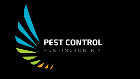 Image for pest control huntington N.Y with ID of: 2609129