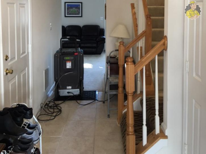 Image for Hallandale Beach Carpet Cleaning with ID of: 2610428