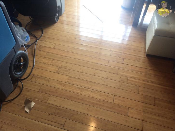 Image for Hallandale Beach Carpet Cleaning with ID of: 2610444