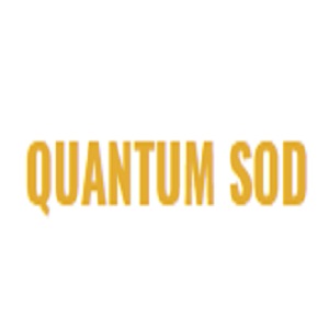 Image for QuantumSod.com with ID of: 2611410