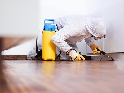 Image for Undertaker Pest Control with ID of: 2611542