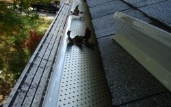 Image for Mississauga Roofing with ID of: 2613402