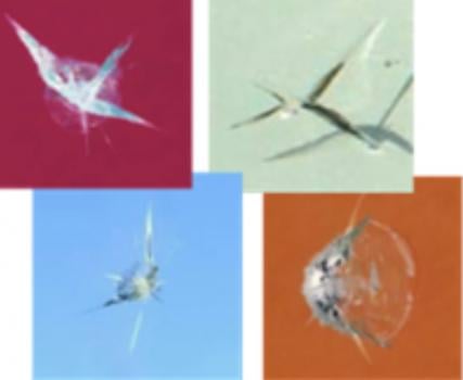 Image for First Choice Windshield Repair with ID of: 2614403