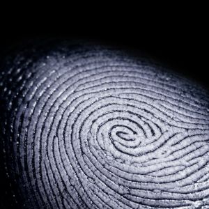 Image for CLH Investigations with ID of: 2615515