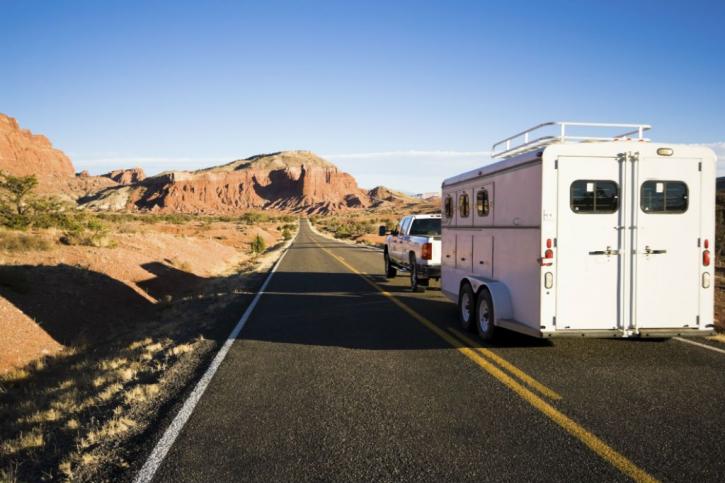 Image for Cyclone RV Rentals & Transportations with ID of: 2615646
