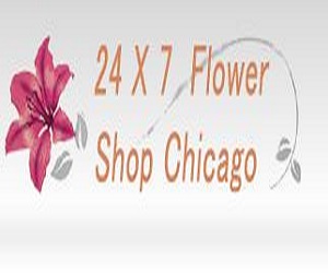 Image for Send Flowers Chicago IL - 24x7 with ID of: 2616197