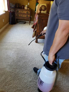 Image for Neptunes Carpet Cleaning with ID of: 2616245