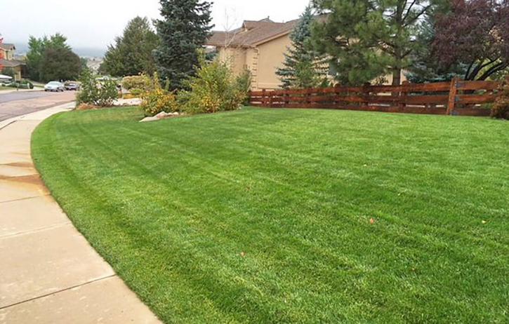 Image for J. Rick Lawn & Tree, Inc. with ID of: 2617644
