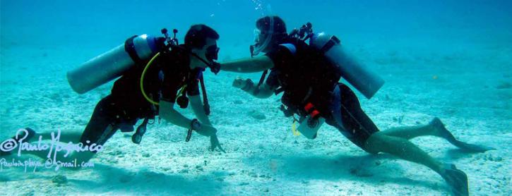 Image for Padi Divemaster with ID of: 2619399
