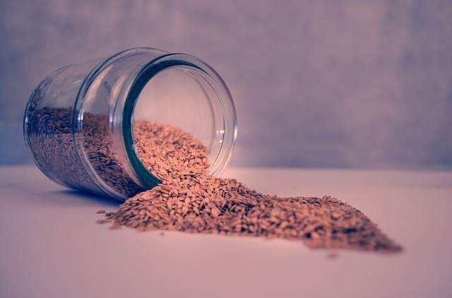 Image for Organic Seed Market Scenario, Growth and Competitive Analysis, 2016 to 2024 with ID of: 2619907