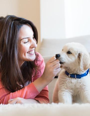 Image for Easyology Pets with ID of: 2620174