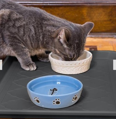 Image for Easyology Pets with ID of: 2620176