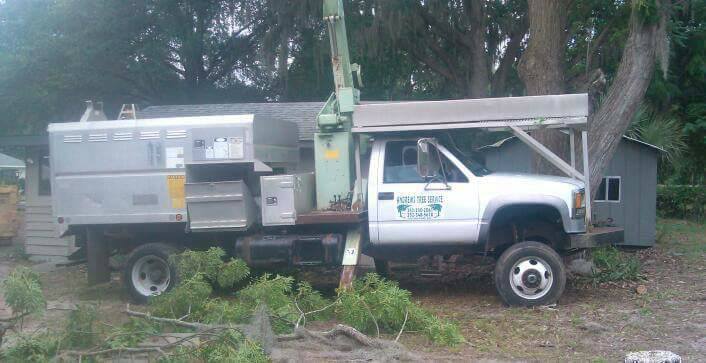 Image for Andrews Tree Service with ID of: 2621160