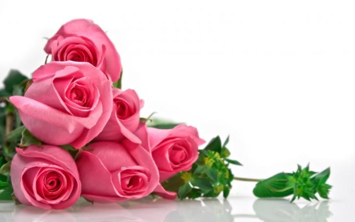 Image for Melbourne Florist with ID of: 2621454