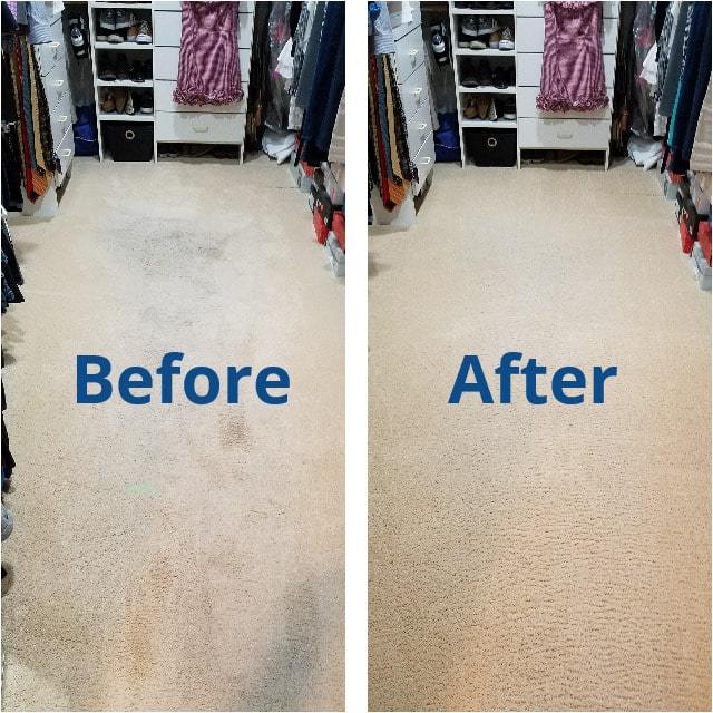 Image for Experience Carpet Care with ID of: 2621494