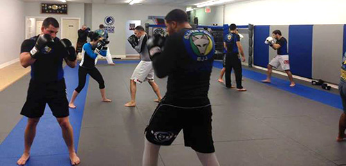 Image for Silver Fox Brazilian Jiu-Jitsu Academy with ID of: 2622063