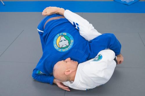 Image for Silver Fox Brazilian Jiu-Jitsu Academy with ID of: 2622068