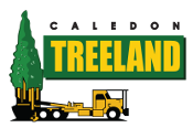 Image for Caledon Treeland with ID of: 2622607