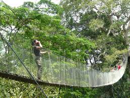 Image for Tambopata national reserve with ID of: 2623433