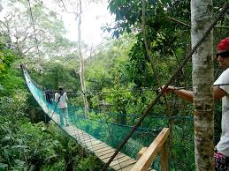 Image for Tambopata national reserve with ID of: 2623436