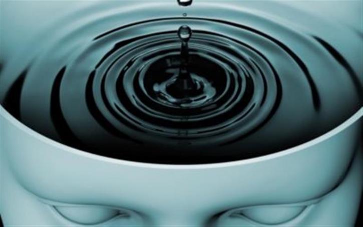 Image for The Mindful Habit with ID of: 2623465