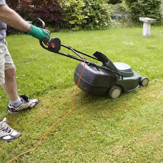 Image for Chris's Lawn Cutting with ID of: 2623945
