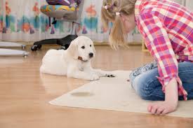 Image for Martella Carpet Cleaning with ID of: 2624478