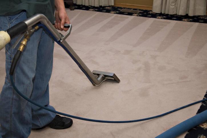 Image for Davani Carpet Cleaning with ID of: 2624514