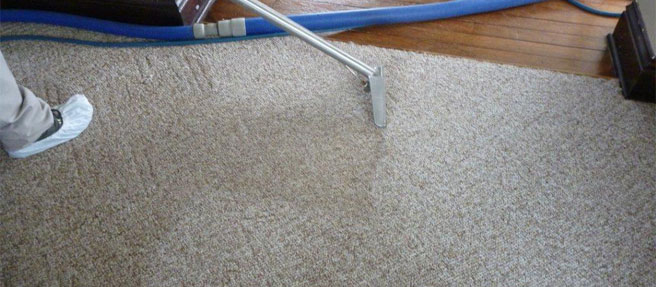 Image for Davani Carpet Cleaning with ID of: 2624525