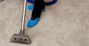 Image for Mallott Carpet Cleaning with ID of: 2624550