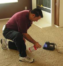 Image for Mallott Carpet Cleaning with ID of: 2624554