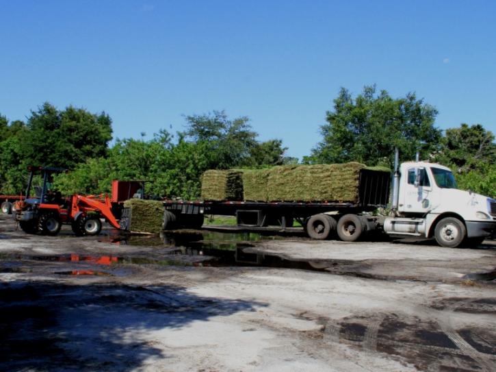 Image for 1 Stop Sod & Landscaping Inc with ID of: 2625456