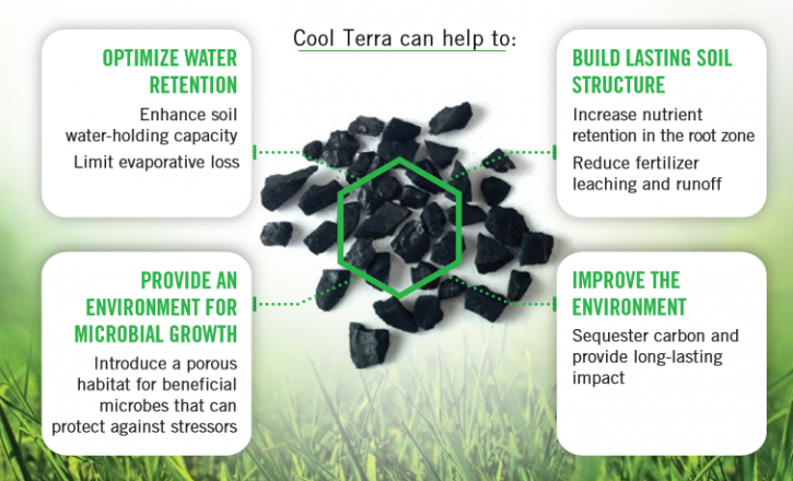 Image for What Is Biochar? - Biochar Basics with ID of: 2628115