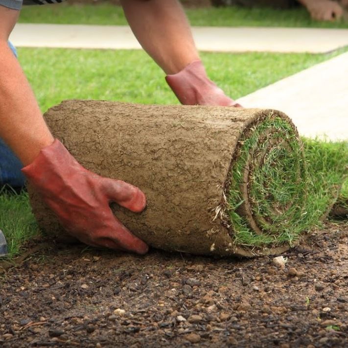 Image for Blue Ribbon Landscaping with ID of: 2628956