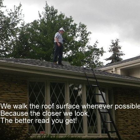 Image for Homelife Inspections Inc with ID of: 2630056