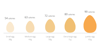 Image for How many calories in an egg? with ID of: 2630754