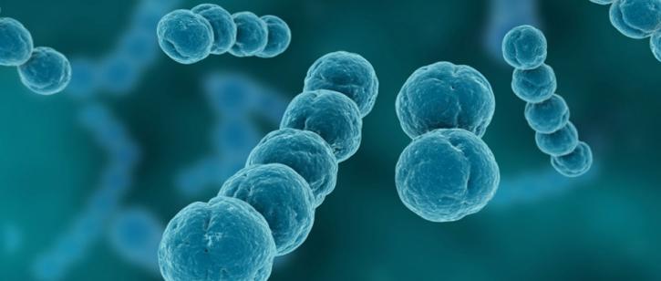 Image for Unbiased Mold Testing with ID of: 2631567