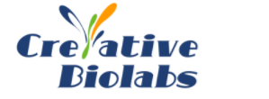 Image for antibody display with ID of: 2632231